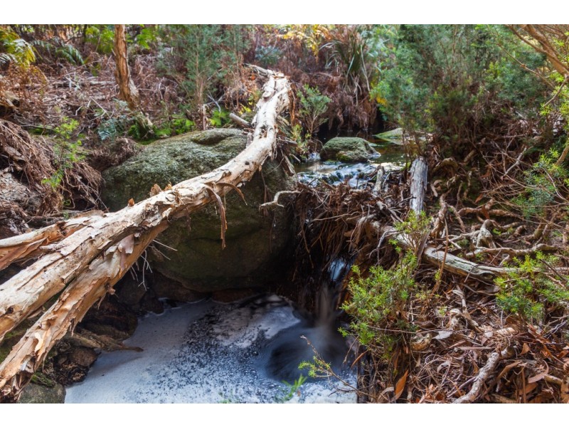 855 Trousers Point Road, Loccota TAS 7255