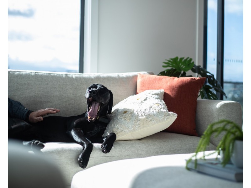 4/25 Duke Street, West Launceston TAS 7250