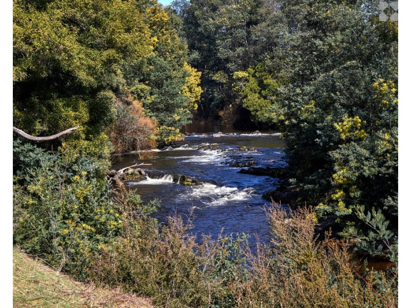 10 Scott Street, Branxholm TAS 7261