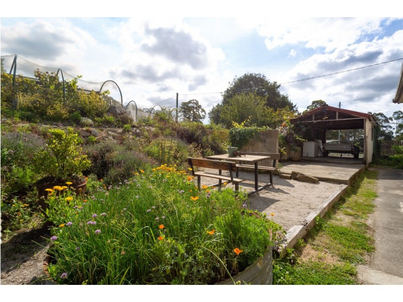 3 Mount Paris Dam Road, Weldborough TAS 7264