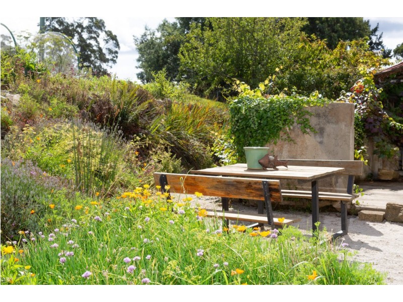 3 Mount Paris Dam Road, Weldborough TAS 7264