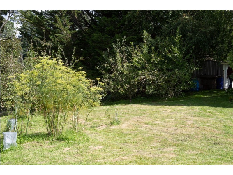 3 Mount Paris Dam Road, Weldborough TAS 7264