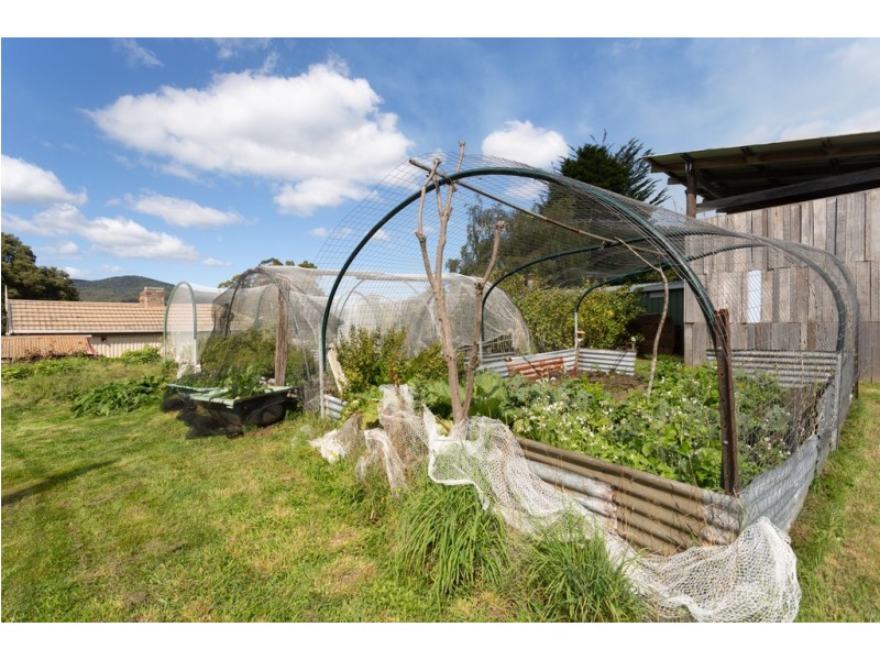 3 Mount Paris Dam Road, Weldborough TAS 7264