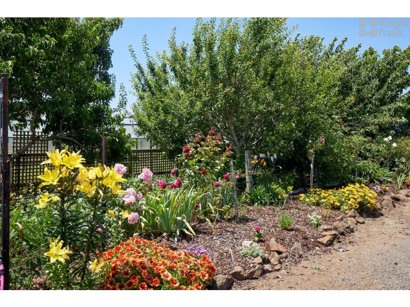 43 Main Street, Legerwood TAS 7263