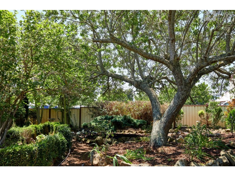 43 Main Street, Legerwood TAS 7263