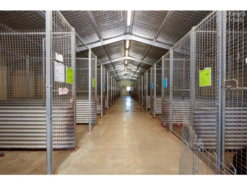 43 Main Street, Legerwood TAS 7263