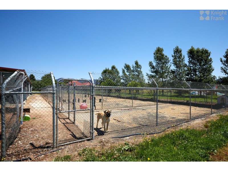 43 Main Street, Legerwood TAS 7263