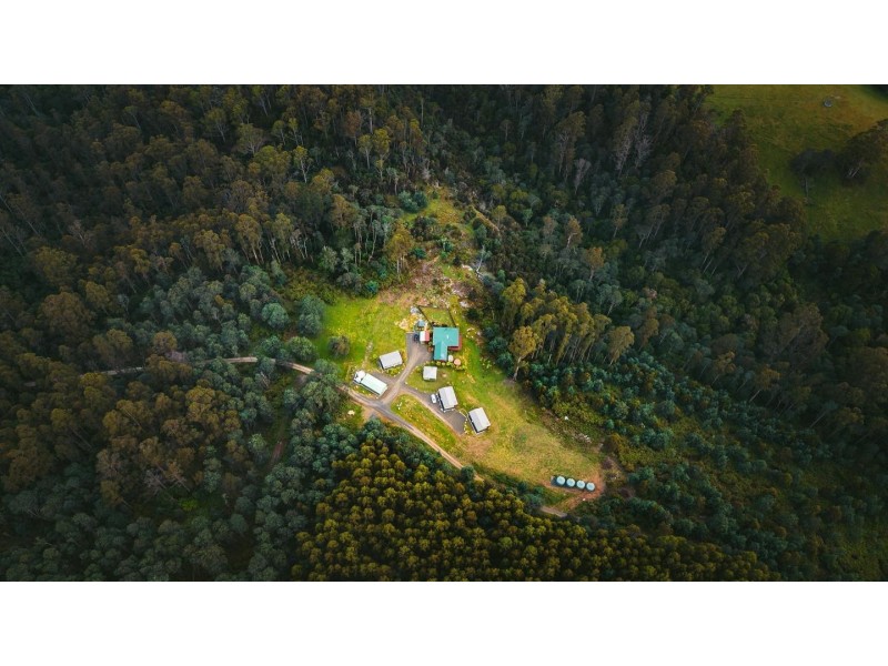 411 Mutual Road, Derby TAS 7264