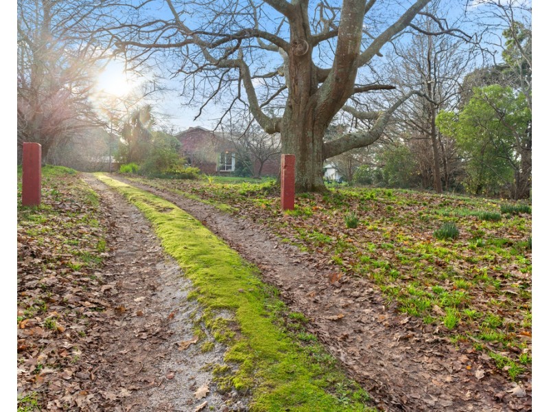 1 Main Street, Ringarooma TAS 7263