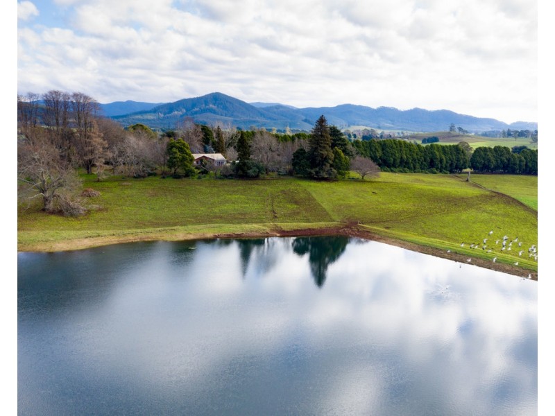 1 Main Street, Ringarooma TAS 7263