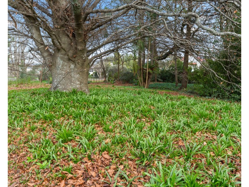 1 Main Street, Ringarooma TAS 7263