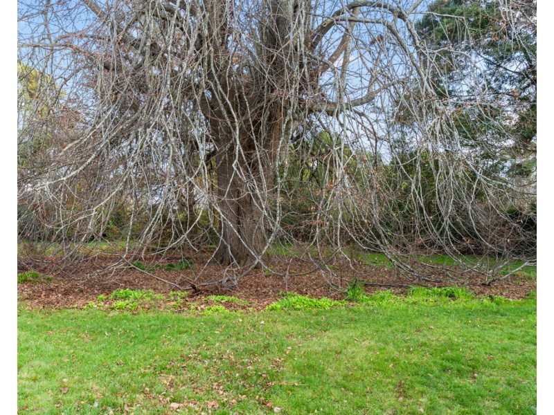 1 Main Street, Ringarooma TAS 7263