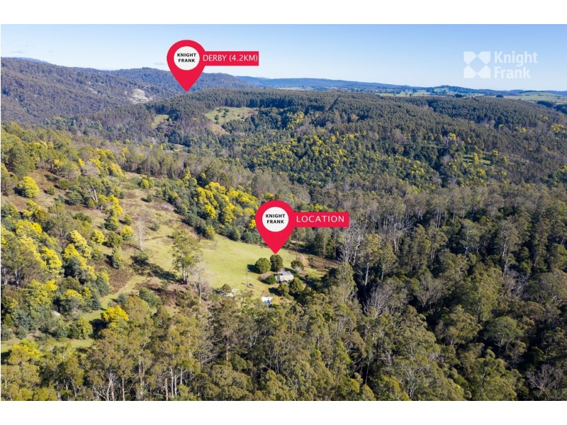 31 Banks Road, Derby TAS 7264