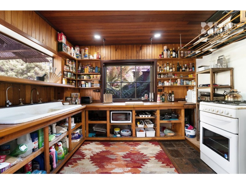 31 Banks Road, Derby TAS 7264