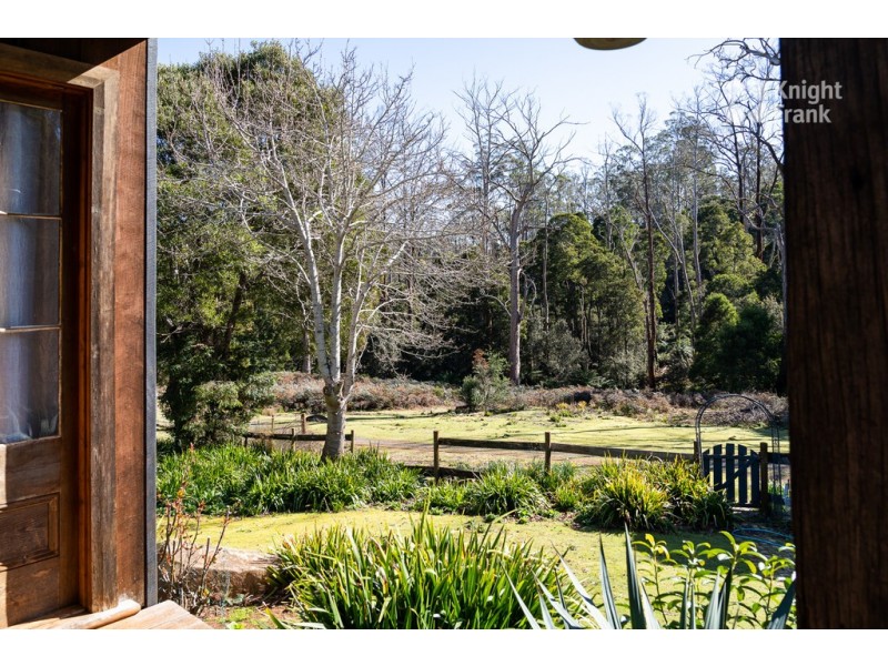 31 Banks Road, Derby TAS 7264