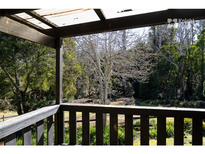 31 Banks Road, Derby TAS 7264