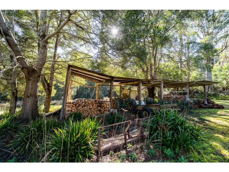 31 Banks Road, Derby TAS 7264