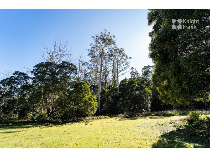 31 Banks Road, Derby TAS 7264