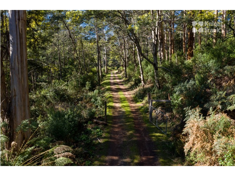 31 Banks Road, Derby TAS 7264