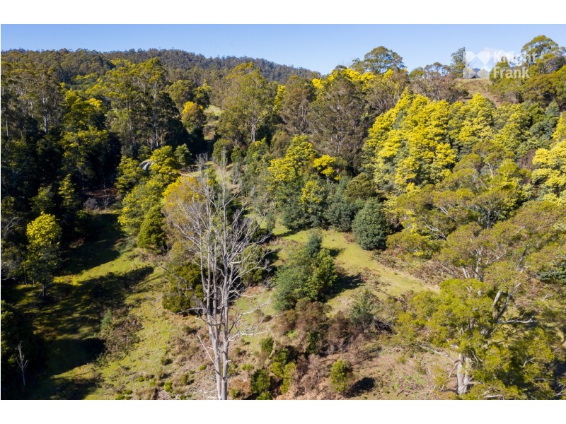 31 Banks Road, Derby TAS 7264