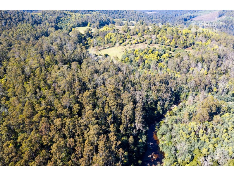 31 Banks Road, Derby TAS 7264