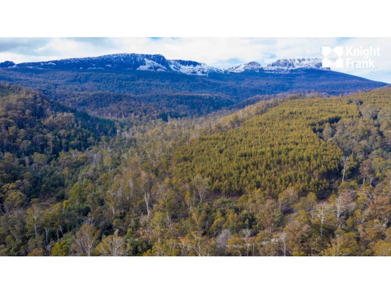 140 Fishers Tier Road, Rossarden TAS 7213