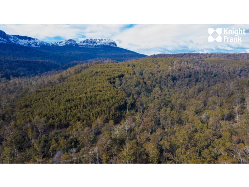 140 Fishers Tier Road, Rossarden TAS 7213