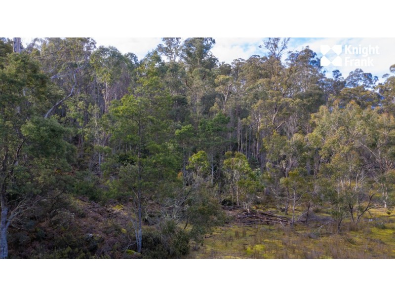 140 Fishers Tier Road, Rossarden TAS 7213