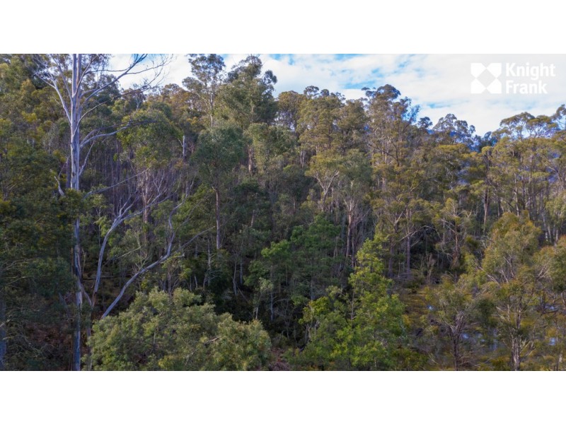 140 Fishers Tier Road, Rossarden TAS 7213