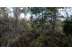 140 Fishers Tier Road, Rossarden TAS 7213