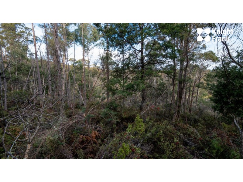 140 Fishers Tier Road, Rossarden TAS 7213