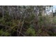 140 Fishers Tier Road, Rossarden TAS 7213