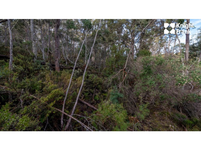 140 Fishers Tier Road, Rossarden TAS 7213