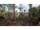 140 Fishers Tier Road, Rossarden TAS 7213