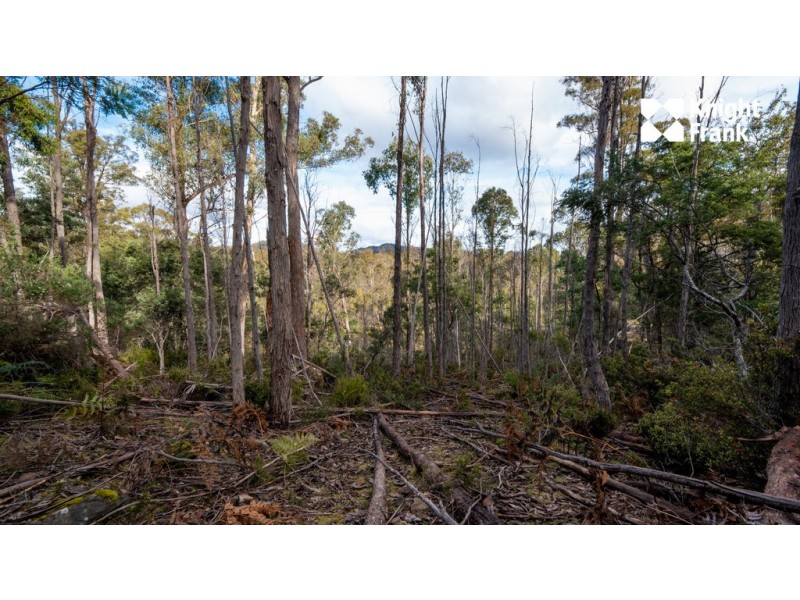 140 Fishers Tier Road, Rossarden TAS 7213