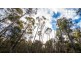 140 Fishers Tier Road, Rossarden TAS 7213