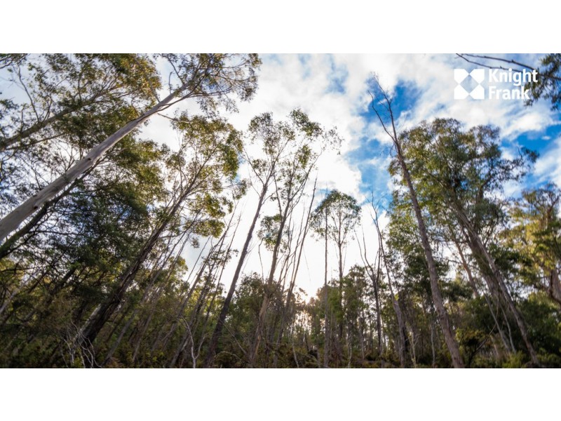 140 Fishers Tier Road, Rossarden TAS 7213