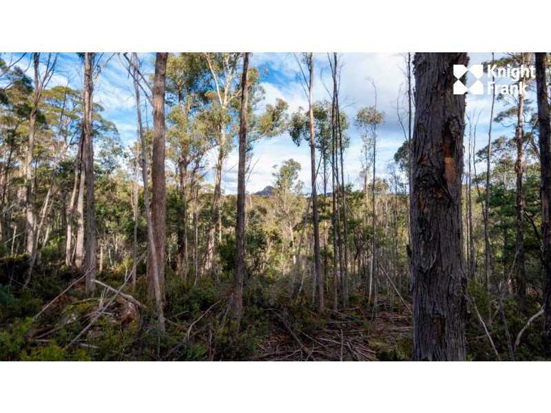 140 Fishers Tier Road, Rossarden TAS 7213