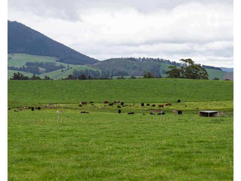 91 West Minstone Road, Scottsdale TAS 7260