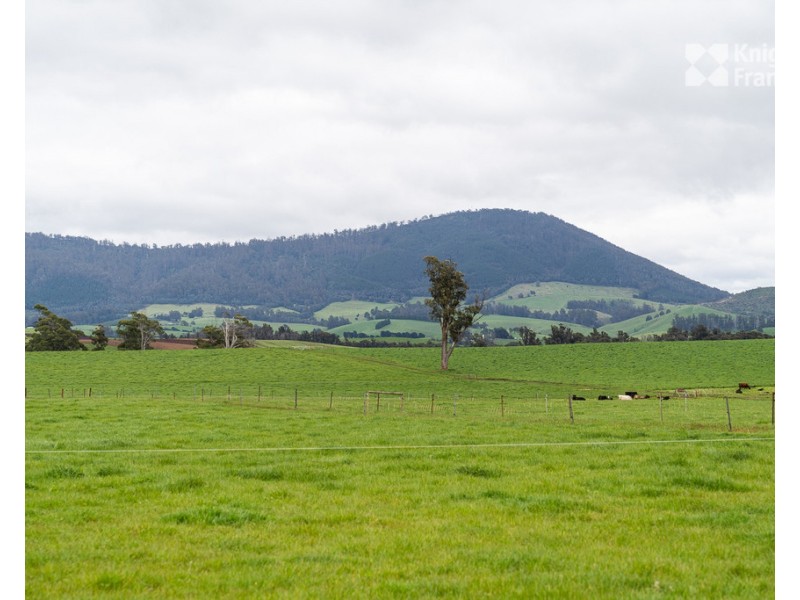 91 West Minstone Road, Scottsdale TAS 7260