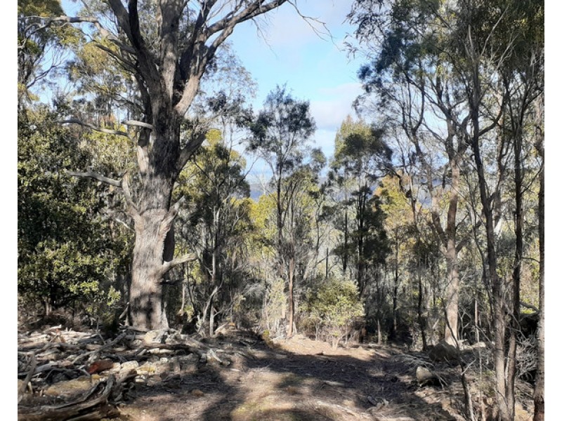 700-900 Binghams Road, Nunamara TAS 7259