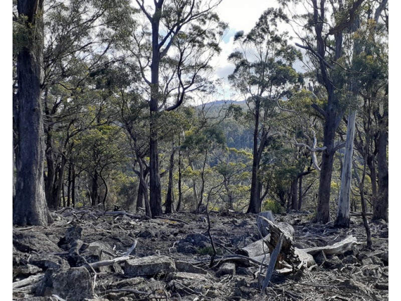 700-900 Binghams Road, Nunamara TAS 7259