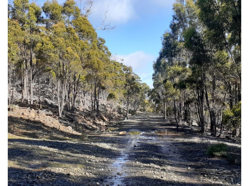 700-900 Binghams Road, Nunamara TAS 7259