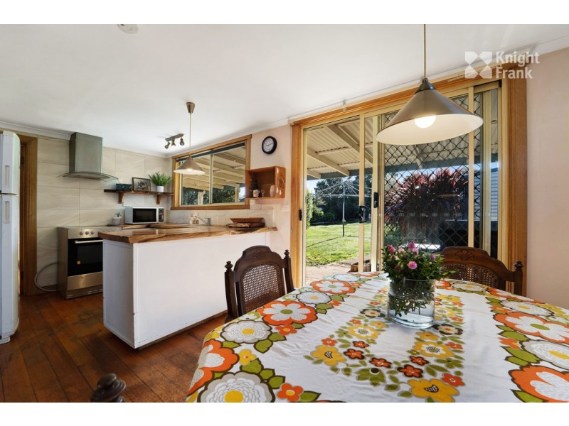 14 Charles Street, Scottsdale TAS 7260