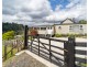 31 Allan Street, Derby TAS 7264
