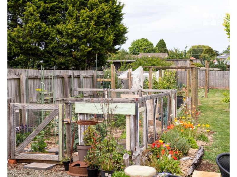 11 William Street, Scottsdale TAS 7260