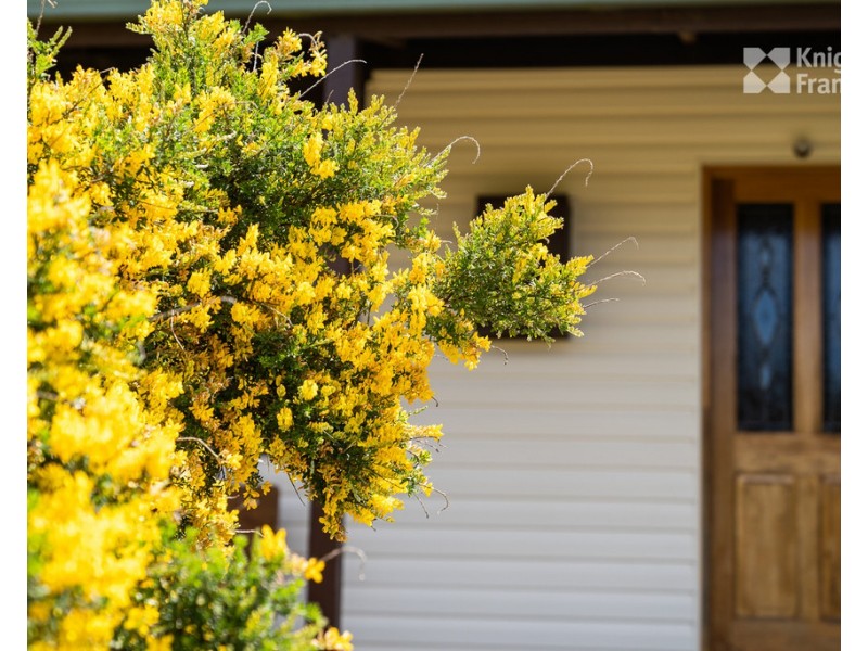 39 Main Road, Weldborough TAS 7264