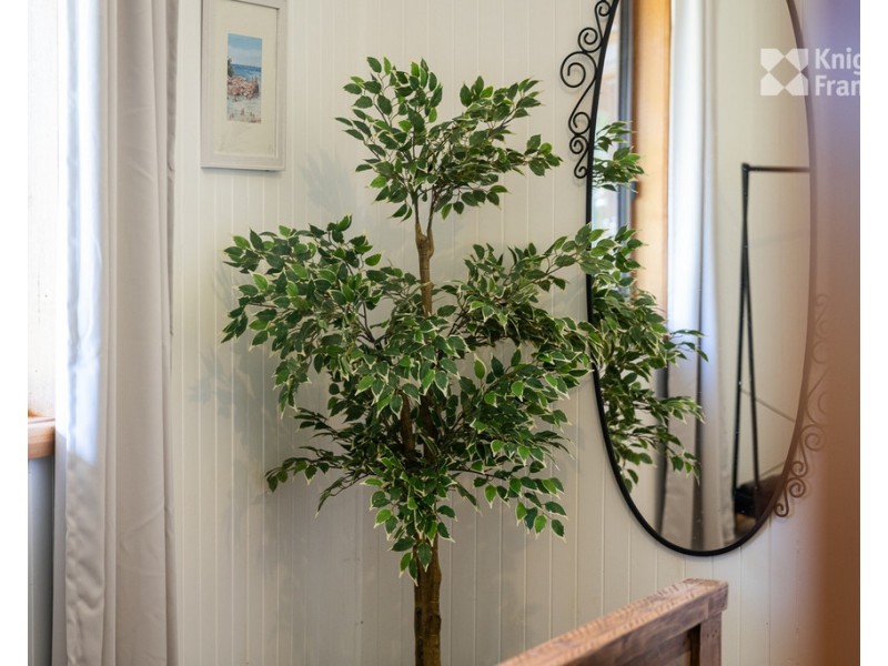 39 Main Road, Weldborough TAS 7264