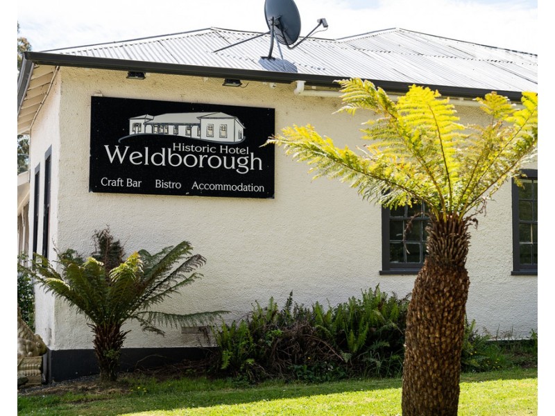 39 Main Road, Weldborough TAS 7264