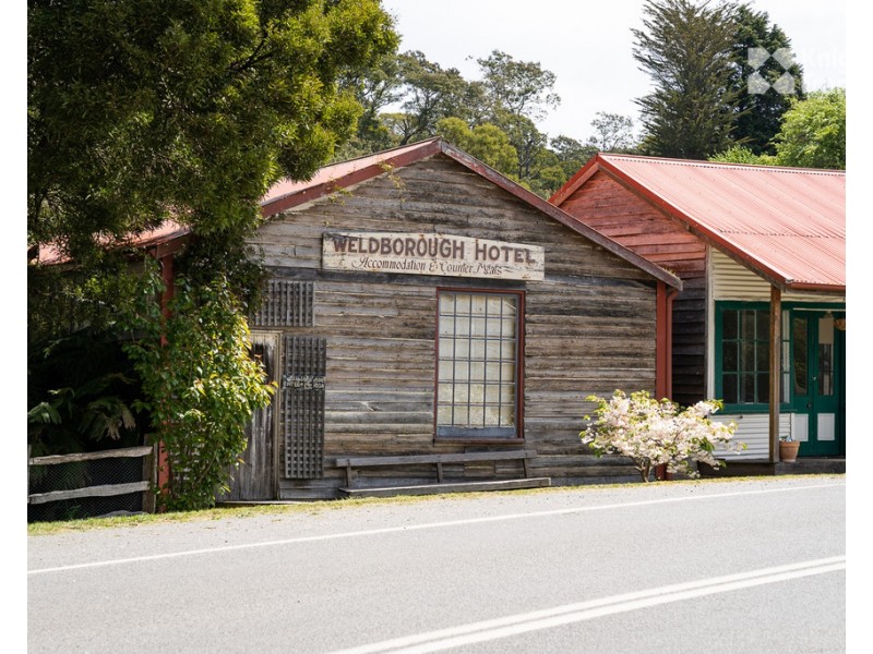 39 Main Road, Weldborough TAS 7264